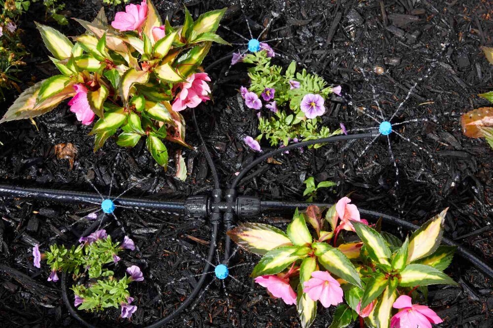 a drip irrigation system