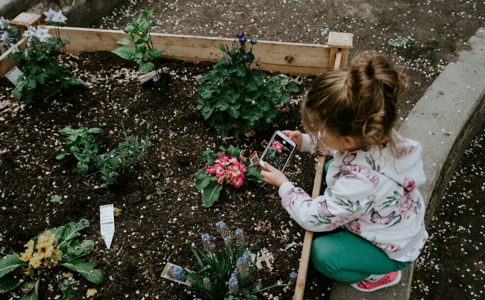 Garden Types and What to Plant