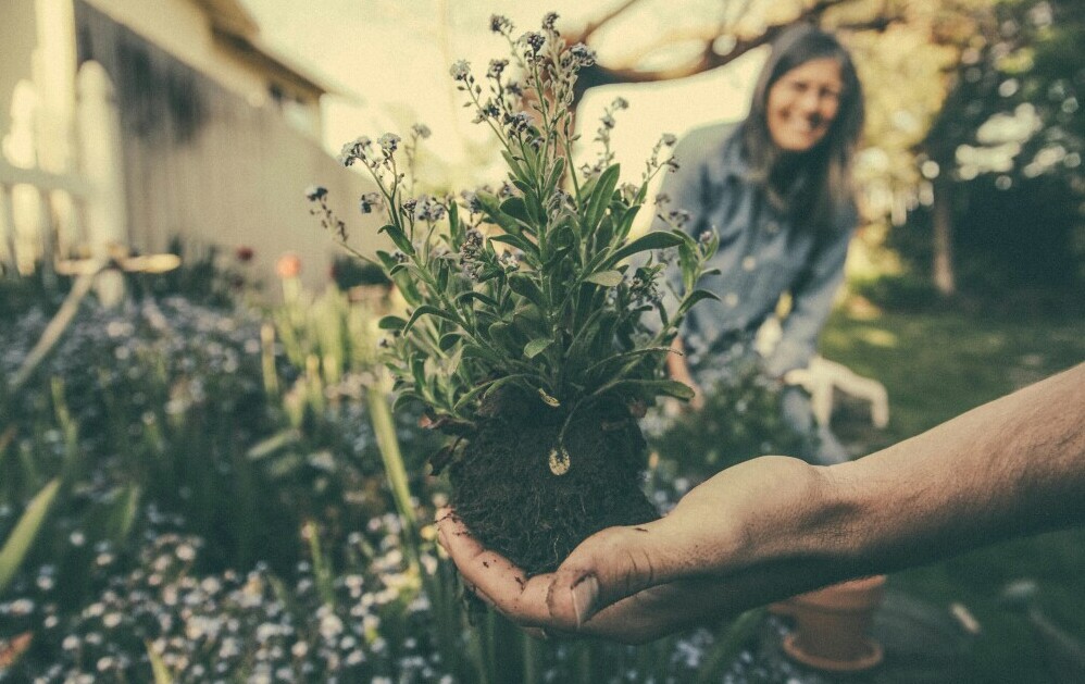 Getting Started With Your Garden